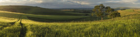 Beautiful panorama landscape South Downs countryside in Summer Stunning panorama landscape South Downs countryside in Summer