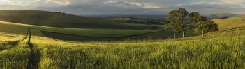 Beautiful panorama landscape South Downs countryside in Summer Stunning panorama landscape South Downs countryside in Summer