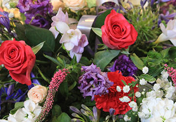 flowers-IMG_3503 flowers-IMG_3503