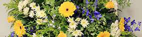 hdt-flowers-square hdt-flowers-square