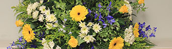 flowers-IMG_351-100 flowers-IMG_351-100